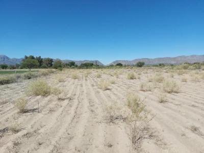 Terrenos Venta San Juan Vendo o permuto lote de una hectarea y media