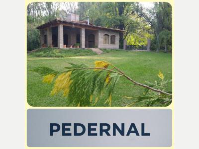 Alquileres Temporales  San Juan ALQUILER VACACIONAL X DIA