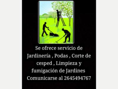 Jardineros Servicio de jardinera 