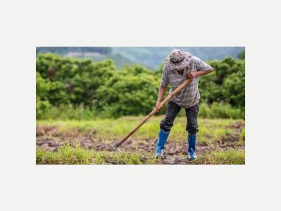 Busqueda de Trabajo  Se ofrece tcnico frutihortcola