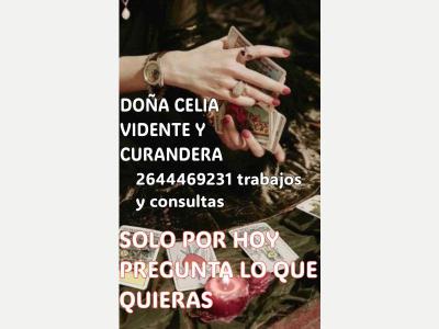 Servicios Varios Tarot Astrologia Doa Celia curandera