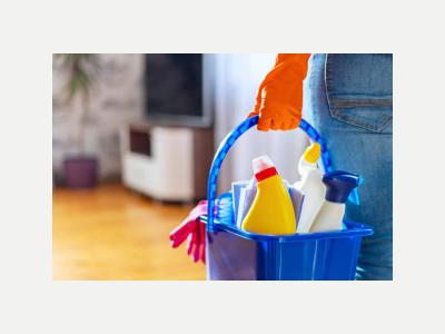  Servicios Varios Varios Limpieza en general y jardinera