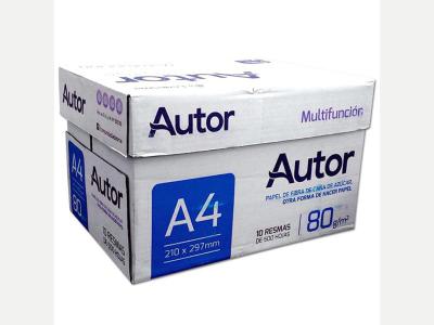  Servicios Varios Varios Resmas Autor A4 80g  10 X 500 Hojas