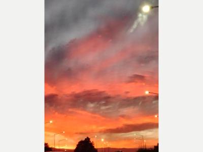  Empleada cama adentro 