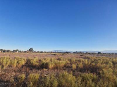 Terrenos Venta San Juan Lote Albard�n