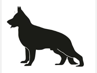 Perros y  Gatos Conductista canino 