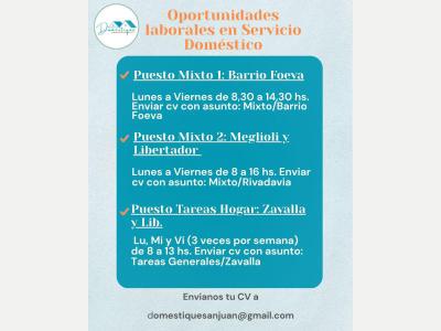   Oportunidades laborales en servicio dom�stico 