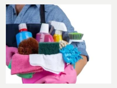  Busco Empleo en Limpieza 