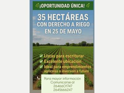 Fincas y Campos Venta San Juan EN VENTA! 35 HECTAREAS