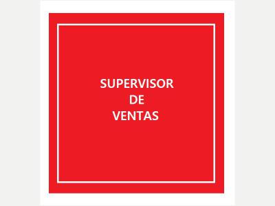  DISTRIBUIDORA BUSCA SUPERVISOR/A DE VENTAS 