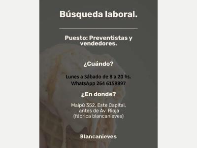  Bsqueda Laboral Vendedores Preventistas 