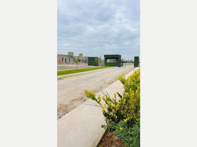 Terrenos Venta San Juan LOTE EN RIVADAVIA, BARRIO PRIVADO ZONDA II
