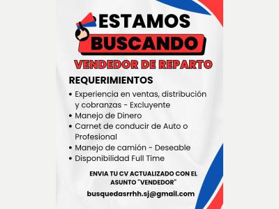 Pedidos Vendedor de Reparto 