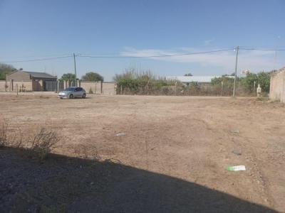 Galpones Venta San Juan BUSSO PROPIEDADES VENDE