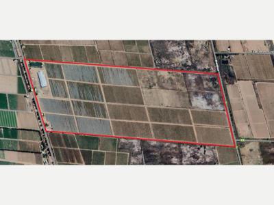 Fincas y Campos Venta San Juan PEREZ OLIVERA 421-1474
