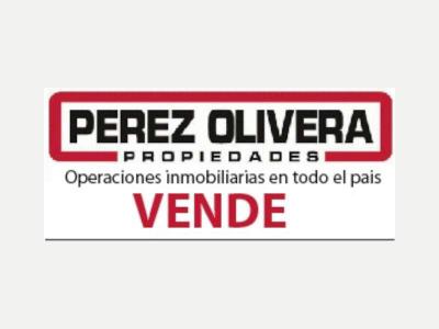 Fincas y Campos Venta San Juan PEREZ OLIVERA 421-1474