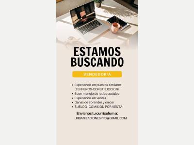  BUSCAMOS VENDEDOR-A 
