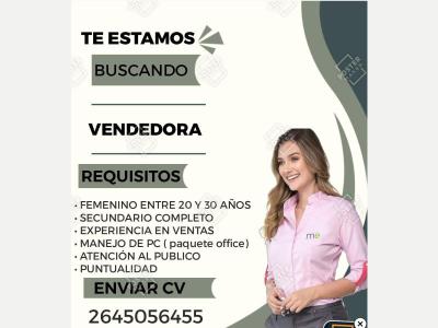  Vendedora 