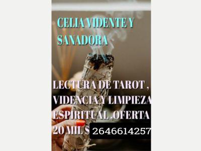  Servicios Varios Tarot Astrologia Celia vidente