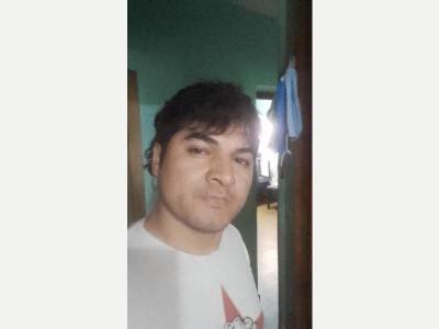  Servicios Varios Varios Jardinero