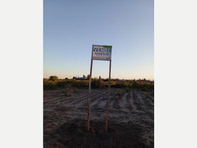 Fincas y Campos Venta San Juan VENDO PERMUTO