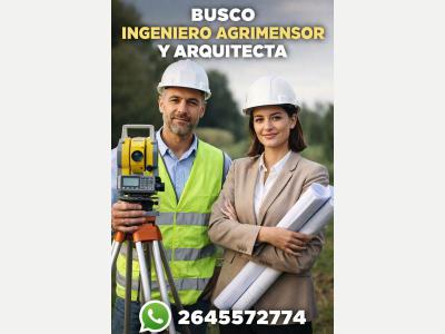  Se busca Ingeniero Agrimensor 
