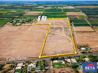 Terrenos Venta San Juan Terreno En Albard�n, 6 Hect�reas.
