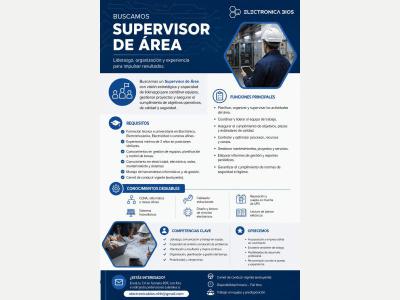  SUPERVISOR DE AREA 
