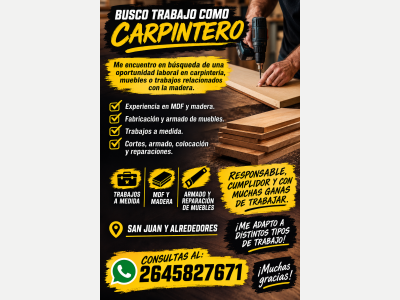  Busco Trabajo como Carpintero 