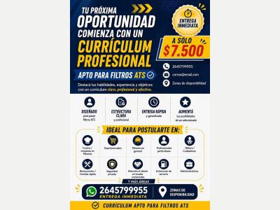 Programadores Curr�culum vitae 