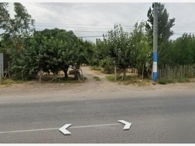 Fincas y Campos Alquiler San Juan Se Alquila Tierra